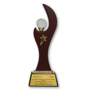 VDMA India Manufacturing Excellence Award 2021